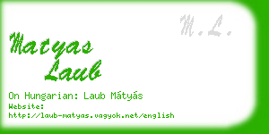 matyas laub business card
